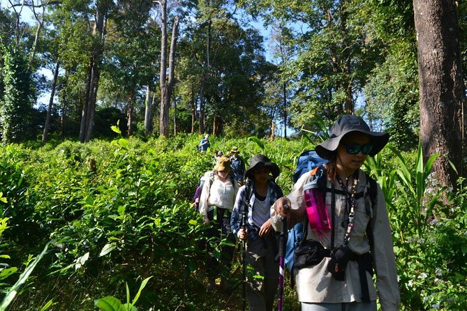 3-Day Chiang Dao Mountain Trek - Who This Trek Suits Best (And Who Should Skip It)