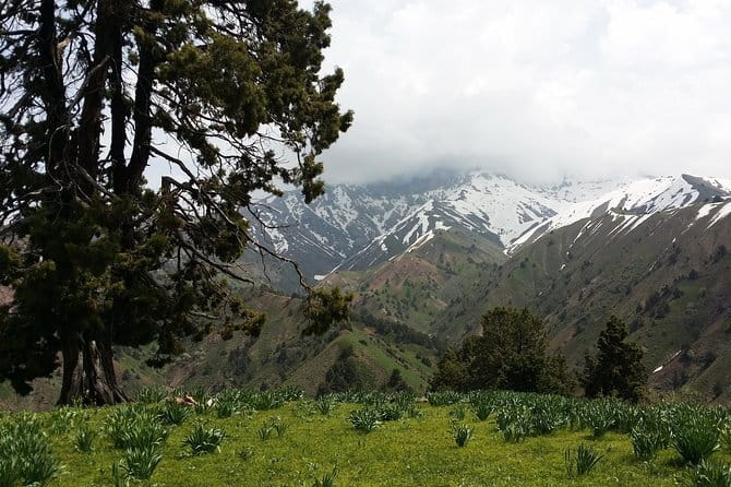 3-Day Chimgan Trekking Tour - Chimgan Trek: A Fast Escape That Still Feels Like You Earned the Views