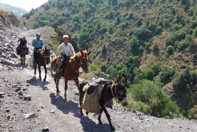 3-Day Chimgan Trekking Tour - Price and Value: Why $370 Can Make Sense Here