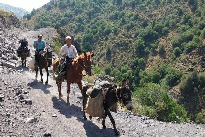 3-Day Chimgan Trekking Tour - Price and Value: Why $370 Can Make Sense Here