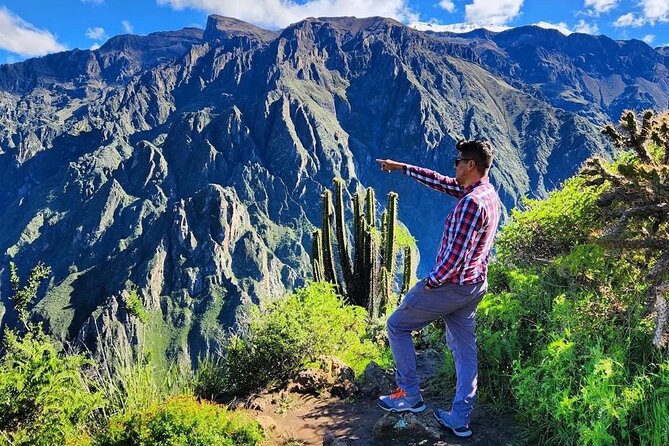 3-Day Colca Canyon trek with Professional Guide - Food and lodging: basic, clean, and made for hikers