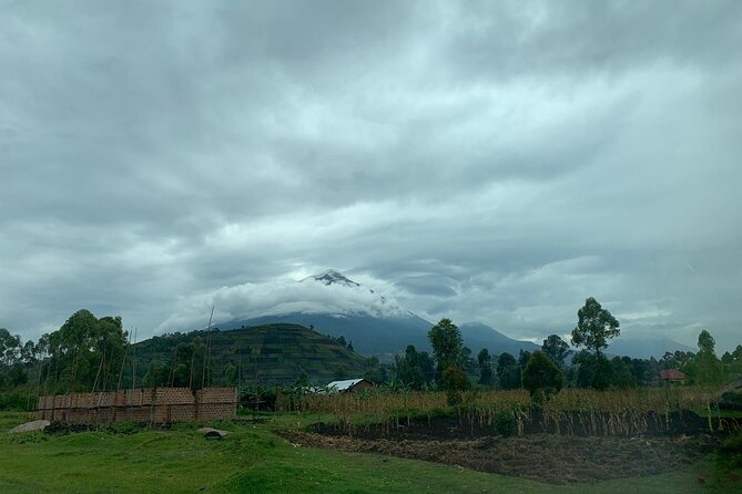3 Day Gorilla Trek at Bwindi National Park via Kigali - Day 3 return to Kigali, plus golden monkey time in Mgahinga