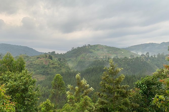 3 Day Gorilla Trek at Bwindi National Park via Kigali - Practical tips that make a difference on gorilla trek days