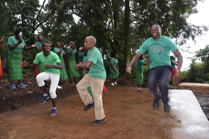 3-Day Gorilla Trekking safari in Bwindi Impenetrable Forest - Road-trip reality: Entebbe transfers and the long drive to Bwindi