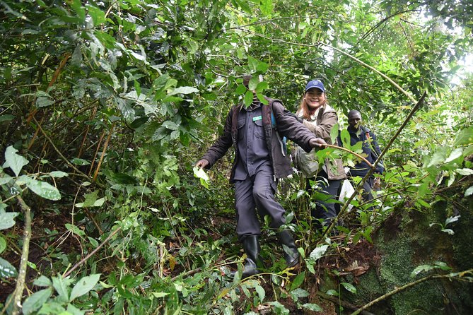 3-Day Gorilla Trekking safari in Bwindi Impenetrable Forest - Day 3: The Equator stop, Mbarara lunch, and a soft landing in Entebbe