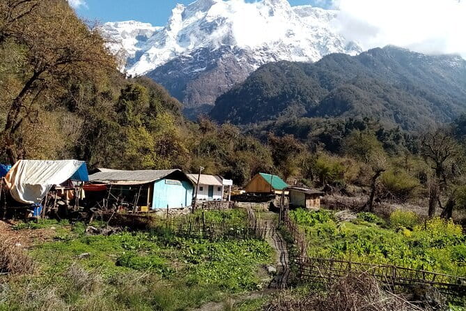 3 Day Kapuche Glacier Lake Trek with Siklesh from Pokhara - Day 2 return: back to Hugu, then a proper evening reset in Sikles