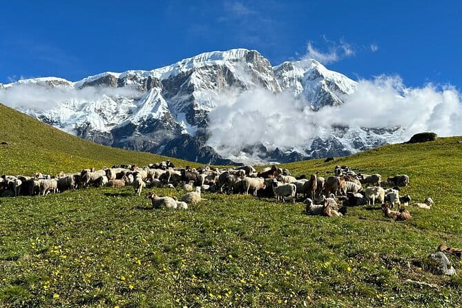 3 Day Kapuche Glacier Lake Trek with Siklesh from Pokhara - Should you book the 3 Day Kapuche Glacier Lake trek with Sikles from Pokhara?