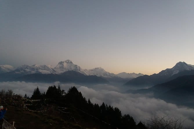 3 Day Mardi Himal Base Camp Trek from Pokhara - Day 2: rhododendron forests and Mardi High Camp payoffs