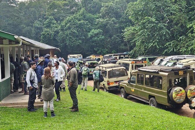 3-Day Private Guided Gorilla Trekking In Uganda - Road Comfort and Smart Timing: What “Pickup Offered” Really Means