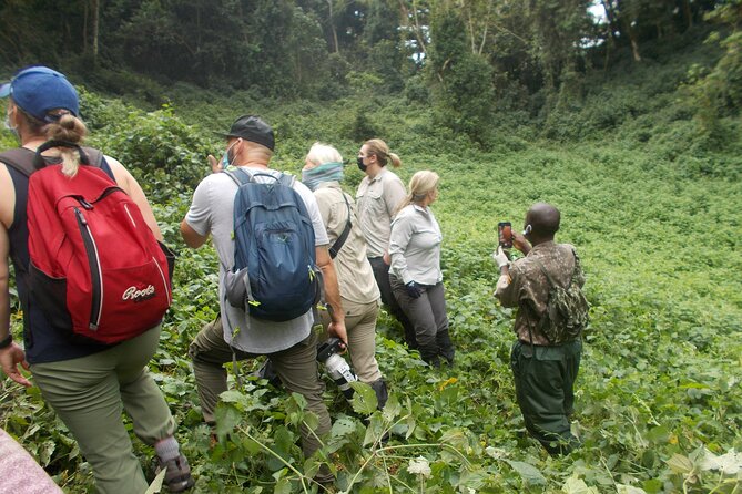 3 Day Rwanda to Uganda gorilla trekking Safari - Day 1 in Bwindi: arriving, settling in, and meeting the Batwa