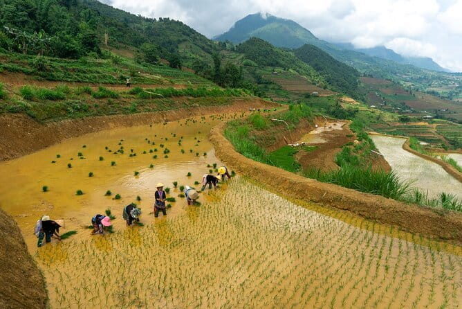 3-Day Sapa Trek, visit Fansipan (cable car) from Hanoi with local - Is Fansipan worth it if you’re already hiking?