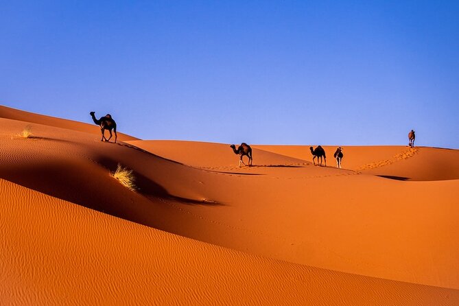 3-Day Shared Tour to Merzouga: Sahara Magic & Camel Trek - Key points that matter before you go