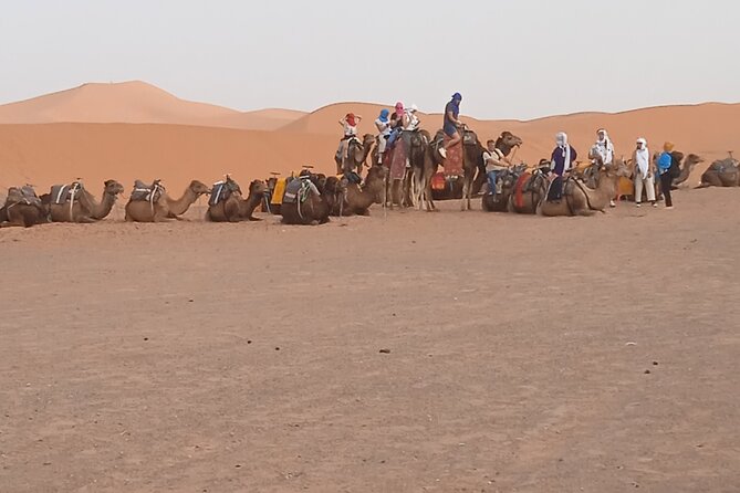 3-Day Tour to Merzouga Erg Chebbi visiting villages & Camel trek - Marrakech to the High Atlas: the trip starts strong