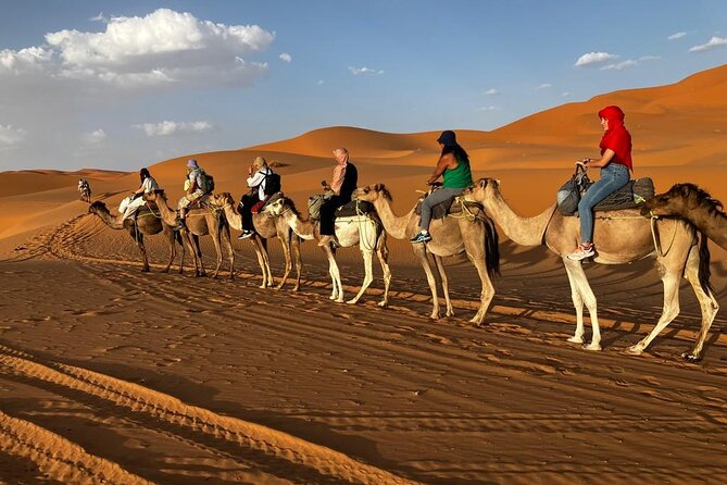 3-Day Tour to Merzouga Erg Chebbi visiting villages & Camel trek - Day 3: the long drive back to Marrakech