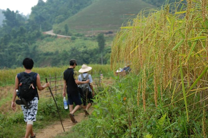 3-Day Trek in Amazing Muong Hoa Valley & ethnic Homestay - Day 1 Into Lao Chai and the Y Li Area: Hmong Country Views