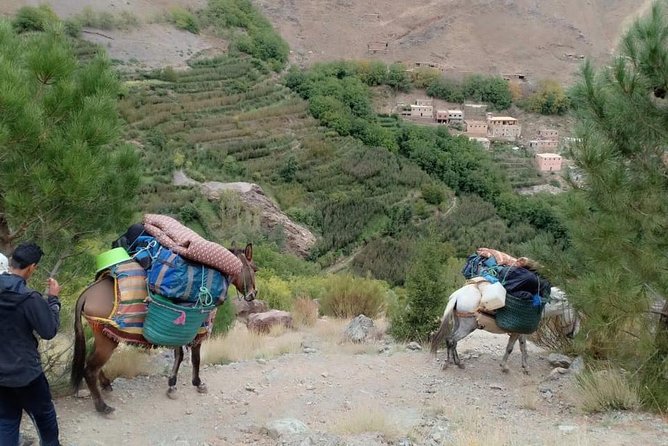 3 Day Trek in the Atlas Mountains and Berber Villages from Marrakech - Day 3: Toubkal National Park waterfall, Mzik Pass (2500m), and back to Imlil