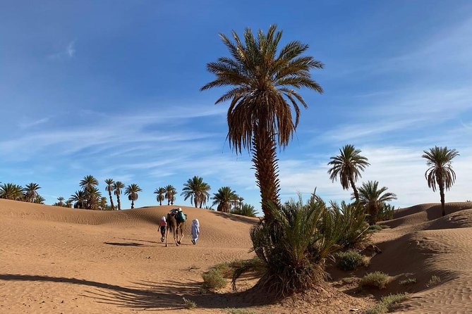 3-day trek - In the shade of palm trees - Key things you’ll notice on this trek