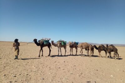 3-day trek - In the shade of palm trees - Marabout Sidi Naji and the Nouajis: walking with meaning