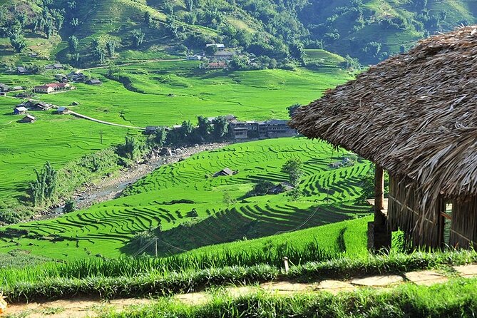 3-Day Trekking Adventure of Sapa from Hanoi - Stay Ta Van Village - Day 3: Ta Van Mong, Hang Cung, Sam 2, Lao Chai, Then Home