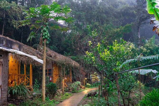 3-Day Trekking Adventure of Sapa from Hanoi - Stay Ta Van Village - Day 1: From Y Linh Ho to Ta Van Village (Rice Terraces First)