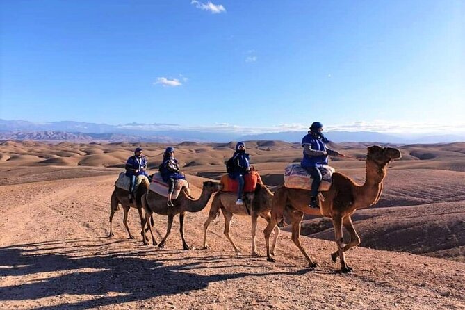 3 Day Trekking in Atlas Mountains and Berber Villages From Marrakech - Private trek logistics that actually help: mule, guide, and lighter bags