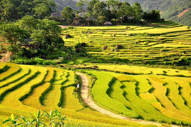 3-Day Trekking In Pu Luong Nature Reserve Private Tour - Meals, permits, and what this price covers (and what it doesn’t)