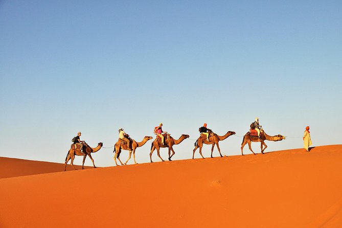 3-Day Tunisia Sahara Desert Camel Trek from Douz - Day 2: Sunrise Riding, Bedouin Lunch, and Sunset on the Dunes