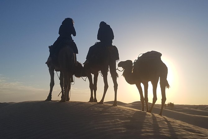 3-Day Tunisia Sahara Desert Camel Trek from Douz - Price and Value: Is $270 a Good Deal for 3 Days in the Desert?