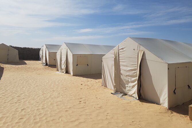 3-Day Tunisia Sahara Desert Camel Trek from Douz - Who This Trek Fits Best (and Who Might Prefer Another Style)