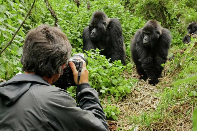 3 Day Uganda Gorilla Trekking and Batwa Pygmies Experience - Day 3 back to Entebbe or Kampala: timing your return and planning your next flight