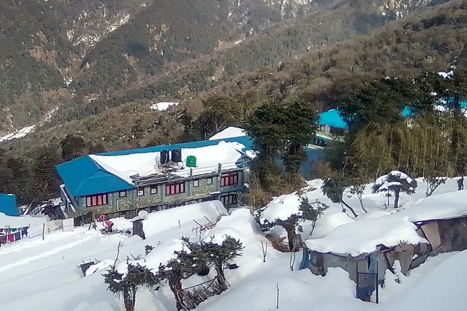 3 Days 2 Nights Poon Hill Trekking - Why this 3-day Poon Hill trek feels so “worth it”