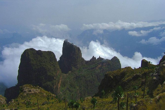 3 Days Bale Mountains Trekking - Day 1: Headquarter woodland, a short easy hike, then down to the Goba area