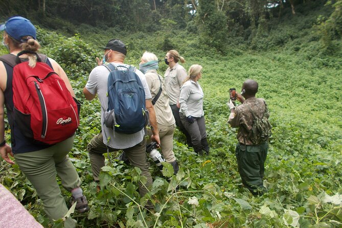 3 Days Bwindi Gorilla Trekking tour - The gorilla trek itself: 1 to 8 hours of forest reading