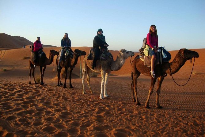3 Days Desert Tour From Marrakech To Merzouga & Camel Trek - Price and logistics: is $116.15 actually good value?
