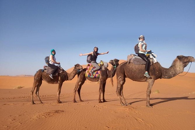 3 Days Desert Tour From Marrakech To Merzouga & Camel Trek - Guides and driving: why Hami and Moha keep showing up