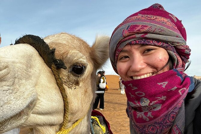 3-Days from Marrakech to Merzouga Tour with Camel Trek - Day 1: High Atlas crossing, Ait Ben Haddou, and Ouarzazate photo stops