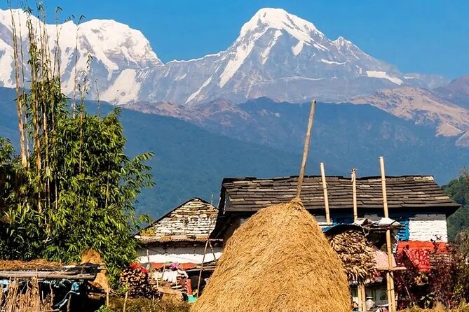 3 Days Ghorepani and Poonhill Private Trek from Pokhara - Why this 3-day Ghorepani and Poon Hill trek feels short but delivers