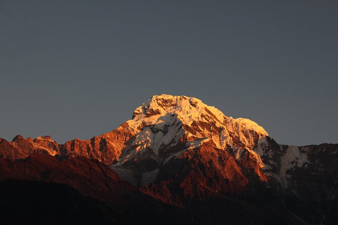 3 Days Ghorepani and Poonhill Private Trek from Pokhara - Day 2 Ulleri’s steep ascent to Ghorepani: where the climb earns the views