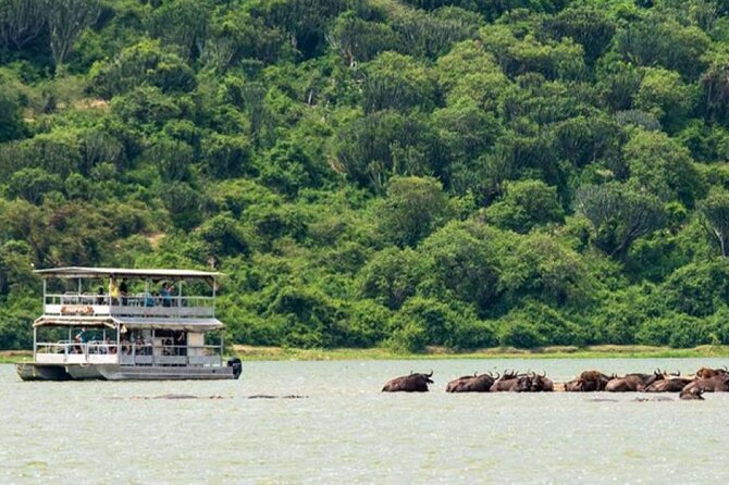 3 Days gorilla trekking Safari tour in Uganda - Entebbe-to-Bwindi 4x4: the road trip that sets your pace