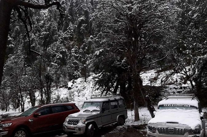 3 Days Kalinchowk Trekking from Kathmandu - Permits, guide, and pickup: the part you don’t want to think about