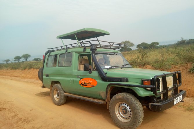 3 Days Lake Bunyonyi and Gorilla Trekking Tour in Uganda - Practical Tips Before You Go (So Day 2 Feels Easier)