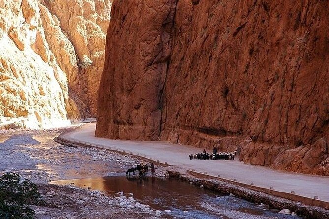 3 Days Marrakech Desert Tour, Luxury Camp, Camel Trekking Tour - Todra, Erfoud, and Merzouga dunes: the camel trek rhythm and camp comfort