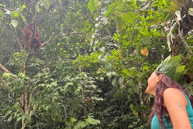3 Days Orangutan Sumatra Jungle Trekking with Rafting - Gunung Leuser trekking days: walking deeper for orangutans and birds