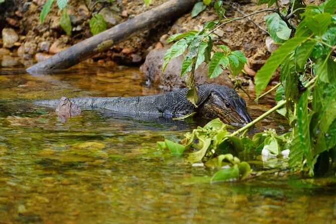 3 Days Orangutan Sumatra Jungle Trekking with Rafting - Guides and group vibe: why names like Bimbo and Dino matter