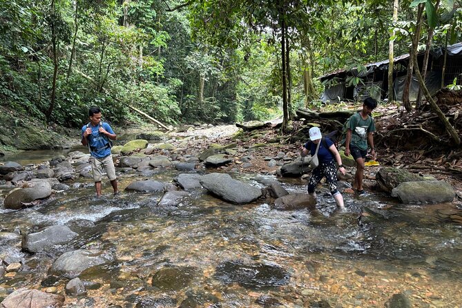 3 Days Orangutan Sumatra Jungle Trekking with Rafting - Who this 3-day orangutan trek suits best
