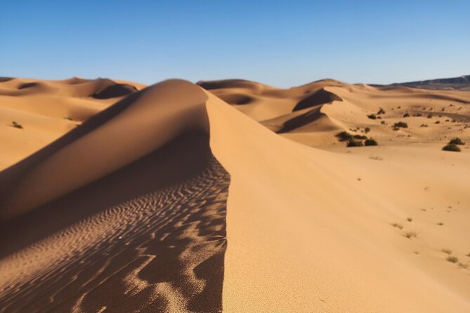 3 Days Priavte Desert Tour From Marrakech To Merzouga &Camel Trek - Todra Gorge and Tinghir oasis: legs-out time in the middle of the journey