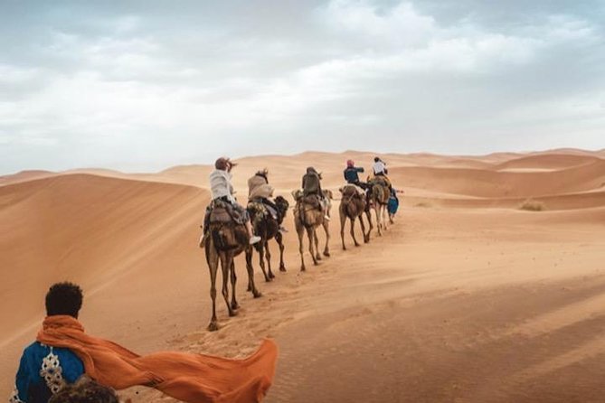 3 Days: Private Desert Tour from Marrakech to Merzouga via Atlas & Camel Trek - Key highlights to look for