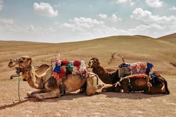 3 Days: Private Desert Tour from Marrakech to Merzouga via Atlas & Camel Trek - Crossing the High Atlas via Tizi n’Tichka pass