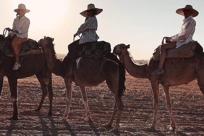 3 Days: Private Desert Tour from Marrakech to Merzouga via Atlas & Camel Trek - Ait Benhaddou and Taourirt Kasbah: where Morocco shows up on screen