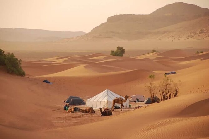 3-Days Private Sahara Desert Trek - Day 3 Back Toward M’Hamid: Breakfast, Final Trek Pace, and a Real Shower